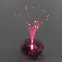 사이언샵 광섬유램프만들기(5인세트)/빛의성질/전반사