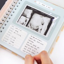 접착식 초음파 앨범 다이어리(초기임산부 선물), 버드