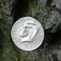 [하프달러 폴딩코인/보급형] 동전을 병에 집어넣을 수 있는 동전입니다.
