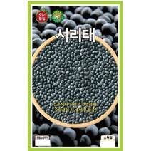 가정원예용채소 씨앗] 서리태콩 30g