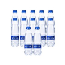 레전드 바이칼 워터 330 ml X 24 EA (12ea+12ea)