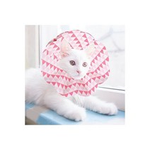 강아지 고양이 중성화 수술 후 관리 넥카라 일회용.제이케이엠티알