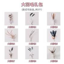 애묘 낚시대 장난감 교체 캣츠 낚싯줄 캣 환장 고양이 힐링 스틱 월척 냥이, 【헤드 교체】큰 깃털은 겹치지 않습니다x5