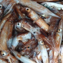 국내산 동해안 미니 오징어 1kg 12~15미 통찜 통찜용 한입 냉동 통오징어, 3kg