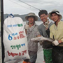 2023년 6형제 소금밭 천일염 깨끗한 굵은 소금, 1개, 20kg