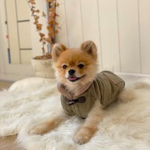퍼니퍼플 강아지 패딩 조끼 뽀글이 후리스 반려견 반려동물 강아지용 옷, 04. 코듀로이 떡볶이 코트 카키 M