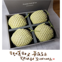 [최고등급] 국내산 전라북도 고창 풍부한 일조량 고당도 고품격 머스크 메론 (추석맞이 선물용 가정용) 특품, 최고등급 멜론 (4수)