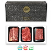 한우 선물세트 1++ 명품 소고기 설날 명절 부모님 부직포가방, 단품