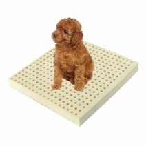 1300K 천연 라텍스 애견방석 L5cm 겉커버 50x50x5cm 고양이방, 단품