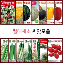 열매 채소 씨앗 모음 토마토 방울토마토 고추 양파 옥수수 오이 호박 씨 채소재배, 20.뱀오이 5립