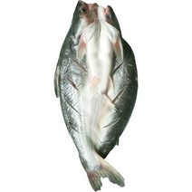 반제품 버들치 도매용 풀박스 통마리 무접점 등을 돌리는 물고기 대발 전선형, 1개, T11-1g 능성어 메콩고기-10 조목조목