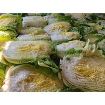 오늘애푸드 김장시즌 국내산 강원도 / 해남 절임배추20kg, 11월21일(화)도착
