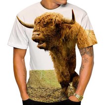 티셔츠 축구 뉴 여름 3d 프린트 남성용 및 여성용 암소 곡물 캐주얼 반팔 재미있는 동물 가벼운 스포츠 탑스