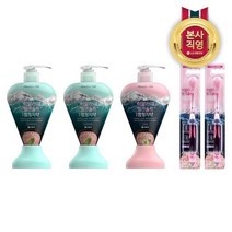 LG생활건강 히말라야 핑크솔트 잇몸전문 치약칫솔세트, 단일옵션