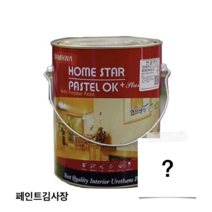 삼화페인트 홈스타 파스텔OK PLUS 친환경페인트 3.8L, (조색)쿠페레벨3