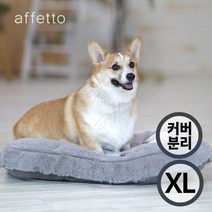아페토 럭셔리 구름방석 그레이 XL (커버분리형), 단품