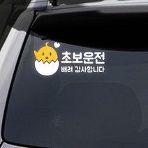 트웬티팩토리 초보운전 스티커 병아리초보(배려), 반사지