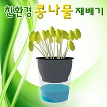 친환경 콩나물 재배기(1인용)-DUA, 1인용