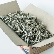 오늘의바다 남해안 햇 업소용 다시멸치 식당용 국물멸치 1.5kg (당해 생산), 1개