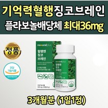 대용량 징코 플라보놀 배당체 36mg 하루권장량 100% 혈행관리 영양제 산화 아연 푸마르산 제일철 판토텐산 칼슘 은행잎추출물 GINKGO 20대 30대 40대 50대 60대 70대 여성 남성
