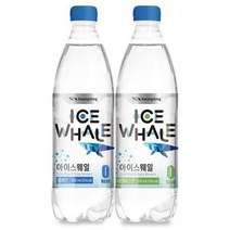 광동 아이스웨일 탄산수 플레인 20PET+샤인머스캣 20PET 500ML 2박스 총40PET 무설탕음료 스파클링 1세트, 4세트