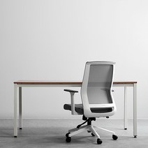 체어스코 페어리 성인 남성 최적의 사무실 책상 컴퓨터의자, 화이트 기본세트