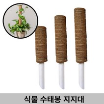 감성살롱 코코넛섬유 수태봉 넝쿨 필로덴드론 몬스테라 관엽 식물 지지대 길이연장, ≫☆3-식물지지대(60cm)1개★≫