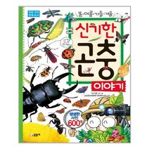 신기한 곤충 이야기 글송이