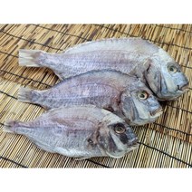 나라수산 자연산 반건조 생선 참돔 제수용 제사, 반건조참돔1마리(특대)45cm