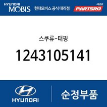 스쿠류-태핑 (1243105141) 쏘나타 마르샤 그레이스 스타렉스 11톤 트럭 8톤 트럭 23톤 트럭 에어로