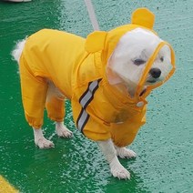윌리로이 강아지 우비 비옷 애견 우산 개 반려견 레인코트, 옐로우곰돌우비