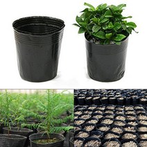 고추 발아기 볍씨 종자 마늘 인큐베이터 씨앗 파종기 100pcs 야채 플라스틱 보육 냄비 화분 성장 시드 냄비 소프트 블랙 영양 냄비 친환경 심기 가방, 12x10cm