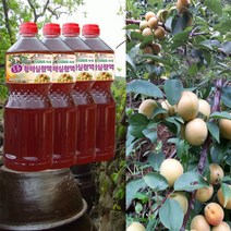 하동 매실원액 지리산산골 3년숙성 토종 황매실원액 1800ml 매실청 매실액기스 매실액, 4개