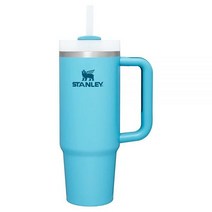 Stanley H2.0 플로 스테이트 스테인리스 스틸 텀블러 오키드 30온스109260, 30 oz, Pool, Pool