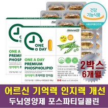 기억력 뇌 영양제 대두레시틴 포스파티딜콜린 인지질 노인 어르신 실버 시니어 기억력감퇴 인지력 개선도움 콜레스테롤 수치개선 LDL HDL 식물성 100% 레시틴 NON-GMO 60대 70대