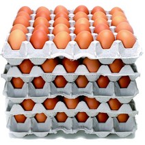 부활절 구운계란 미포장 수축 스티커 포장계란 달걀 꾸미기, 미포장구운계란5판(4월5일출고)