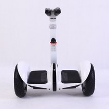 접이식 렌탈 휠 지능형 다리 충전 자동차 스케이트 보드 2 륜 바디 느낌 균형 스쿠터, 04 Black 36V3.0A