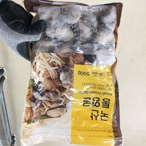 국산 냉동굴 500g x 1개, 아이스보냉백포장