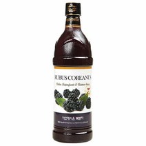 차전 자연복분자 농축액 900ml 건강음료, 단품, 단품