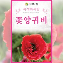 꽃 양귀비 씨앗 양귀비 씨 야생화 꽃 종자 1g