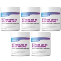 오로라랩 프리미엄 류신 락토페린 산양유 초유 콜라겐 마 프로틴 단백질 210mg x 5통, 210g
