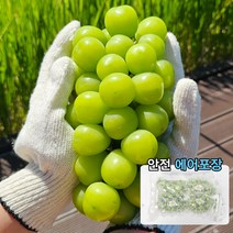 당도보장 고당도 샤인머스켓 씨없는 포도 망고포도 백화점 샤인머스캣 청포도 햇포도, 고당도 샤인머스켓 2kg 4송이, 1개