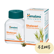 인도 히말라야 Himalaya Shatavari 샤타바리 60개입 [미국 직배송], 1개, 60개