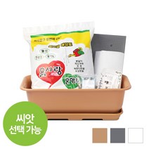 화분월드 베란다 텃밭 상추 야체키우기 뷰티 5호 텃밭세트, 뷰티500 텃밭세트(커피색)
