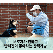 풉백 간식 보관이 편한 반려견 애견 강아지 산책 소지품 산책가방 텐마일 데일리 워크백, gray