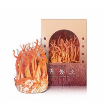 동충하초 국내산 배양특허 코디세핀 베타글루칸함유 버섯 귀리먹은 귀동초 생초 170g내외(옵션추가할인), 생초(2개)