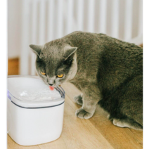 샤오미 PETONEER 애완 고양이 강아지 반려동물 스마트 어플 급수기 정수기, 화이트