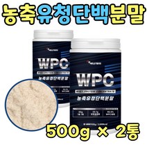 중년 남성 순수 유청 웨이 프로틴 단백질 BCAA 2통 류신 루신 살찌는 마른 남자 단벡질 노인 어르신 추천 보조 보충 제 품 근육 고단백 WHEY 프로테인 멸치탈출 살찌우는 50
