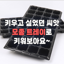 모종판 트레이 씨앗 32구 72구 105구 128구 포트 발아