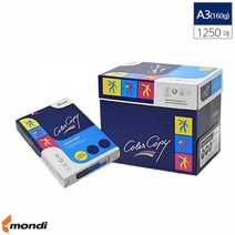 컬러레이져전용 복사용지 백색 1250매 A3 160g 프린터용 복사 고급용지 복사종이 카피용지, 단품, 상세페이지 참조